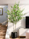 High-End Artificial Green Plant Plum Blossom Tree for Indoor Living Room, Fake Tree Floor-Standing Potted Decoration, Simulated Plant Ornament for Landscaping