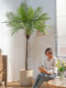 Extra-Large High-Quality Artificial Green Plant, Sunflower, Areca Palm, Outdoor Potted Landscaping, Fake Tree, Indoor Living Room Decorative Ornament