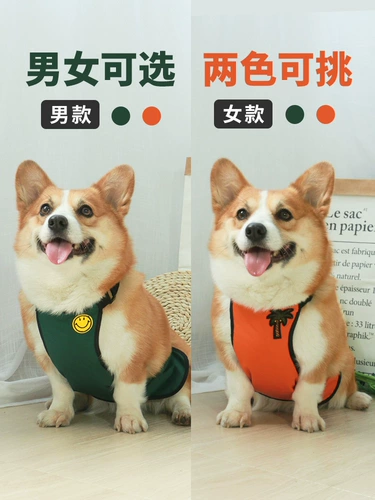 Дудоу, водонепроницаемый дождевик, флисовый удерживающий тепло осенний бандаж пупочный, анти-грязь