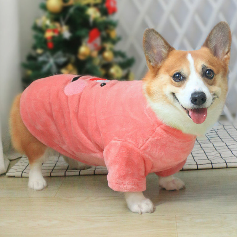 Pet dog clothes cute cotton coat small dog medium dog winter vest pullover net red autumn winter Corgi Teddy