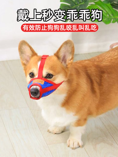 宠物狗狗嘴套防叫防咬防扒嘴罩口罩中型犬柯基泰迪止吠器幼犬专用