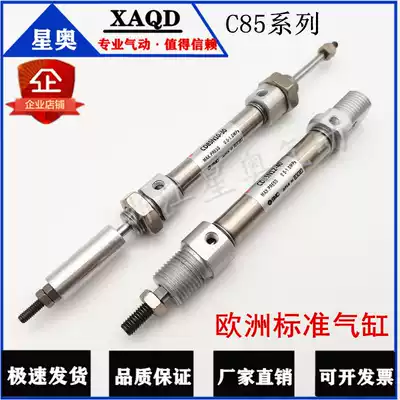 CD85N Stainless steel mini cylinder CD85N25-25 50 75 100 125 150 175 200-A-B