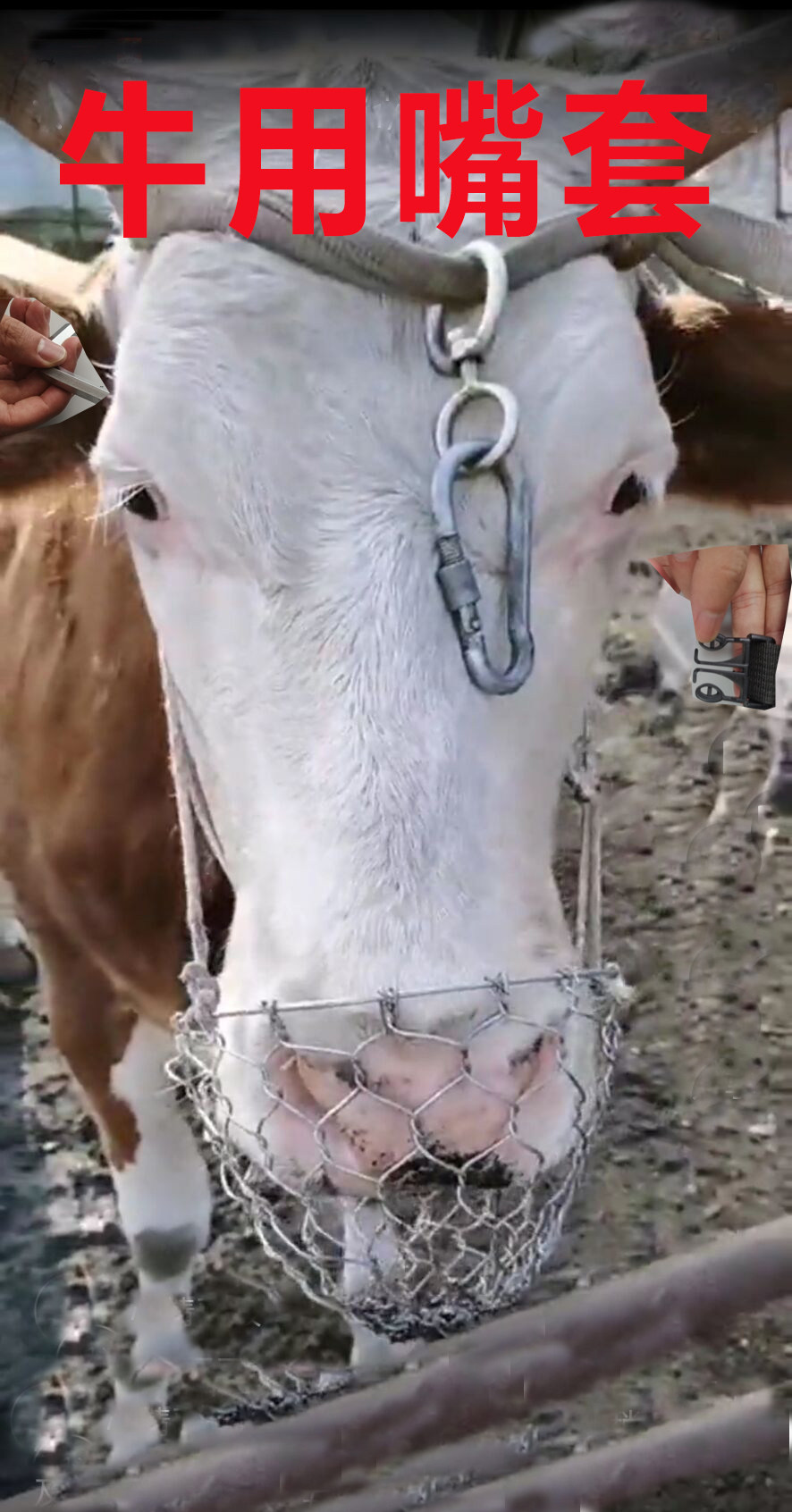 Cow nozzle cage head anti-bite anti-chaos eating artifact cover cover wear mouth cage cover anti-bite horse mouth cover cattle cage head