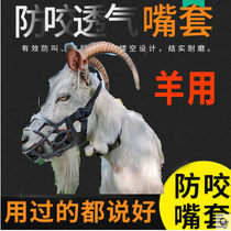 Sheeps mouth cover nozzle tether sheep cage head neck sleeve sheep special anti-bite anti-disorder eating artifact mouth cover put sheep cage head