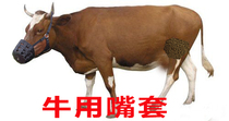 Cow mouth cover sow anti-bite piglet mouth cover horse cage head mouth cow mouth cover anti-random eating rack sow mouth cover anti-bite