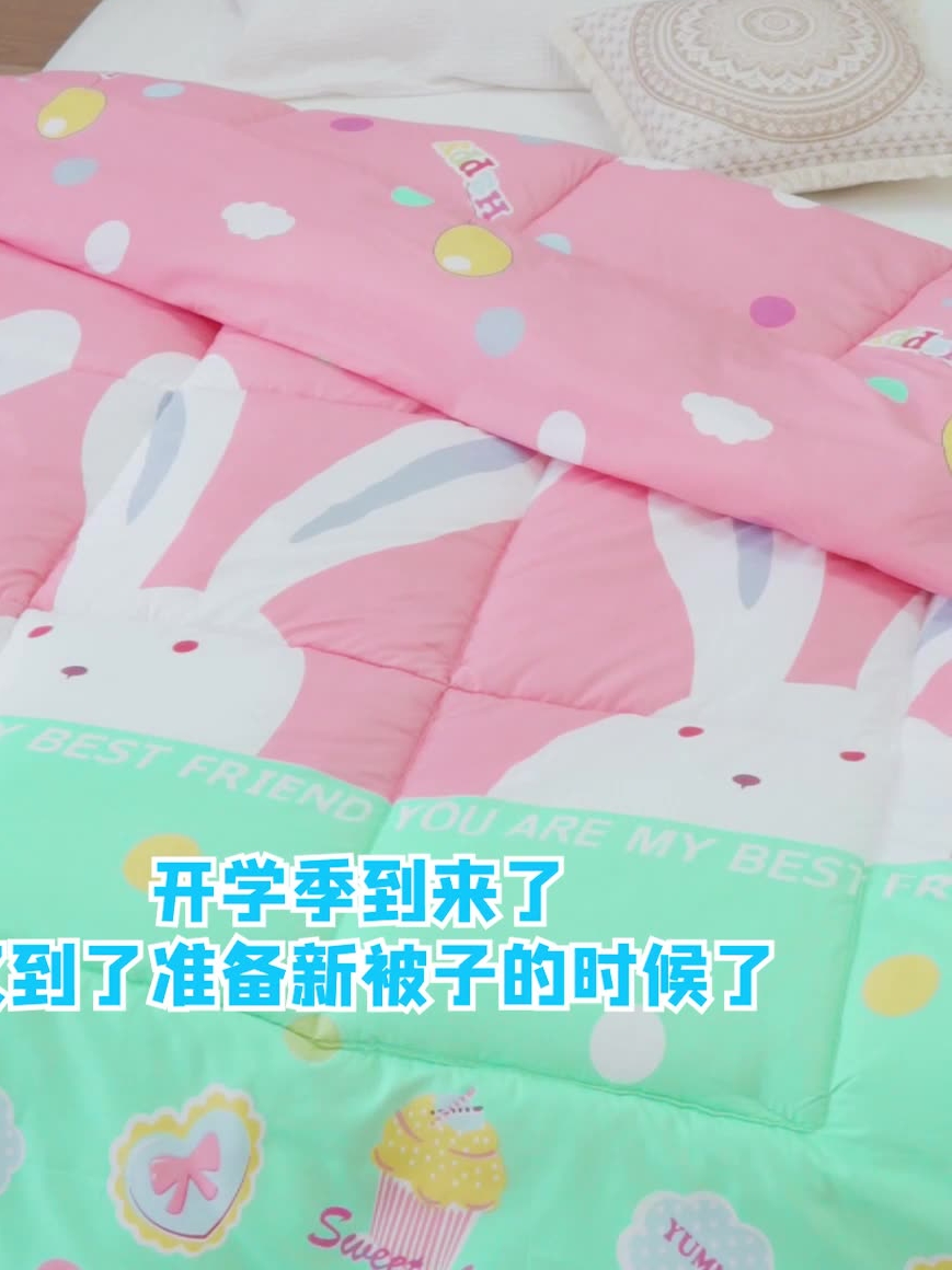 Mercury winter quilt cover thickened 12 meters quilt warm student dormitory spring and autumn silk cotton quilt core single double mattress 5