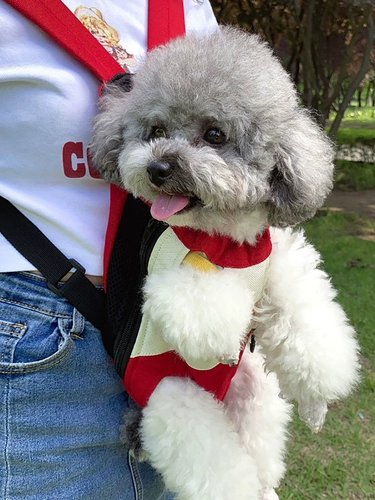 Собака четыре -футбольная сумка из груди и груди ездит на мотоцикле, чем медведь плюшевая собака Сумка для собаки Pet Puppy