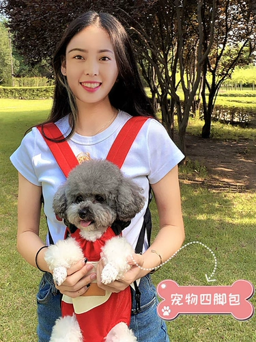 Собака четыре -футбольная сумка из груди и груди ездит на мотоцикле, чем медведь плюшевая собака Сумка для собаки Pet Puppy