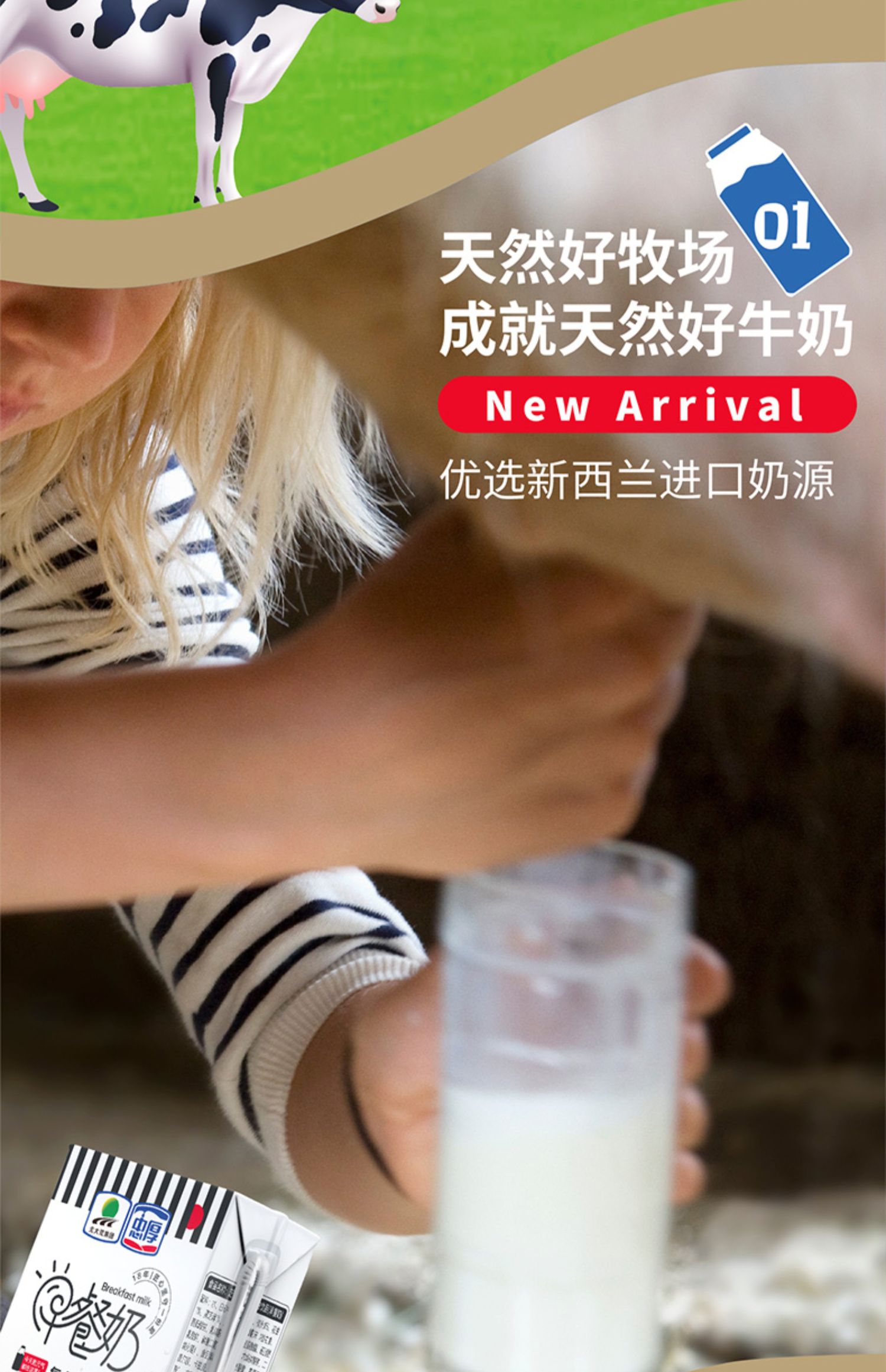 芝麻核桃牛奶营养早餐奶250ml*24盒