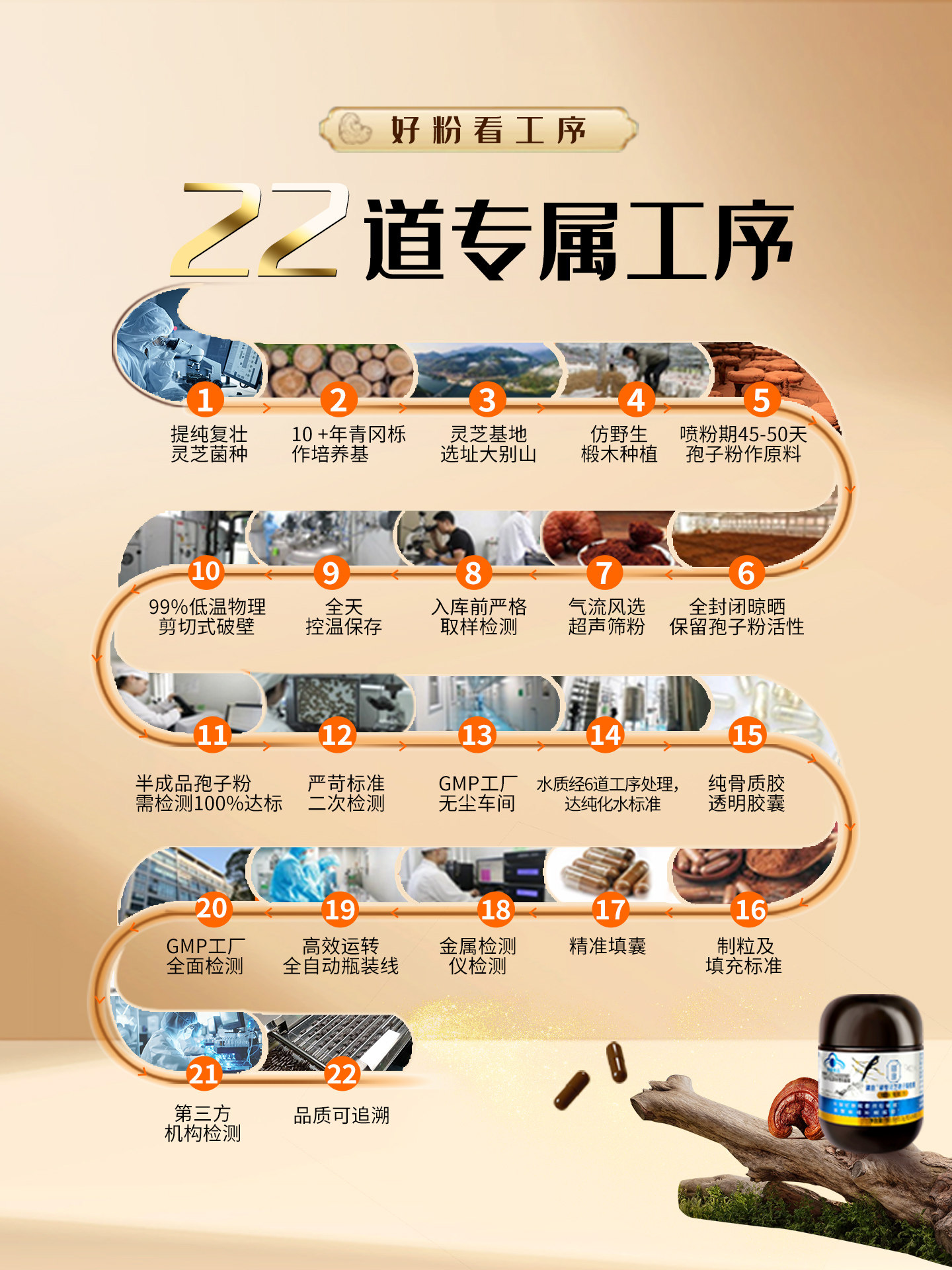 Yuyi Ganoderma Spore Powder Capsules, Health Supplement for Middle-Aged and Elderly People, Official Store Genuine Product