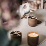 Swe Nordic Fan Рекомендация 丨 Шведская импортная рука