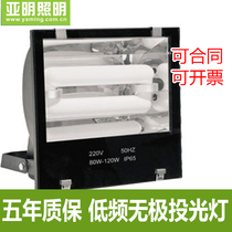 Shanghai Yaming Engineering Special Low Frequency Infinite Floodlight Advertising Floodlight Outdoor Factory Courtyard Projector Light