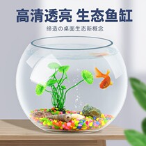 Goldfish tank desktop creative small ecological household mini round office fish raising children lazy glass tank