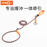 Howgogo Dog, проводящая плюсы p -цепной головой веревки, кардика, разбитая цепь собак, большие и маленькие собаки связывают собаки