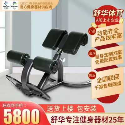 Shuhua Multifunctional Back Muscle Trainer Roman Chair Waist Abdomen Back Muscle Trainer Back Extension 6858