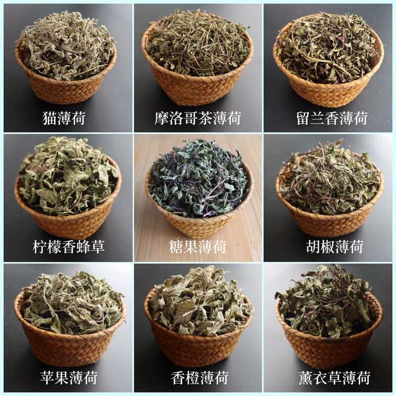 Various Varieties of Dried Mint Leaves and Spices: Spearmint, Lemon Balm, Catnip Pepper. Wholesale from the Kela Herb Base Various Varieties of Dried Mint Leaves and Spices: Spearmint, Lemon Balm, Catnip Pepper. Wholesale from the Kela Herb Base