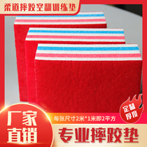 Sanda fighting Taekwondo professional martial arts combat training competition indoor place thickened judo wrestling mat