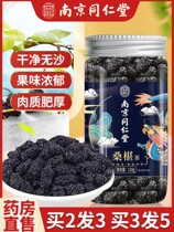 Nanjing Tongren Church Mulberry Dry Black Mulberry Special Class Flagship Store Official Xinjiang Free-To-Wash Ready-to-eat Tea Black Mulberry Dry