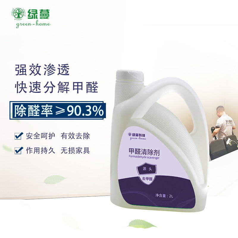 Green vine formaldehyde scavenger new house decoration interior new furniture wardrobe formaldehyde control odor removal benzene aldehyde removal agent
