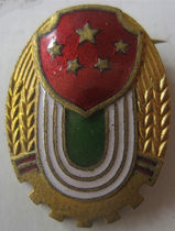 Fidelity early copper enamel avant-garde Sports Association badge