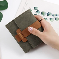 Морские водоросли зеленые