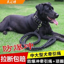 Dog traction rope Large medium-sized dog walking dog rope Golden Mullah Bradod Roll collar pet products