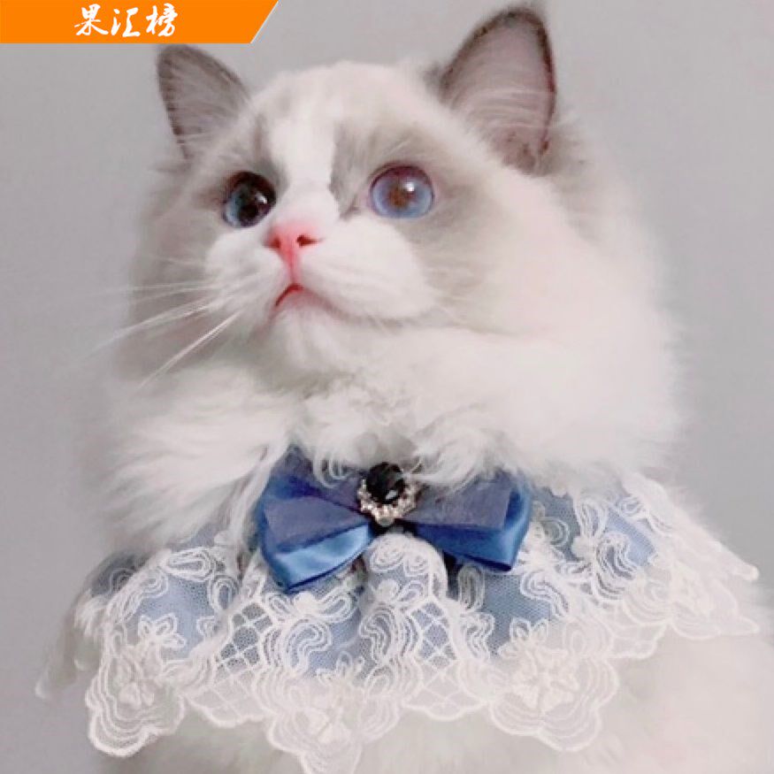 Pet cat dogdog towel lace princess wind triangle fairy neck around the neck of dollcat around the neck