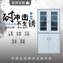 School Laboratory Bio-Instrument Cabinet Chemical Medicine Reagent Cabinet File Information Cabinet Floor Filing Cabinet Sheet Iron Cabinet