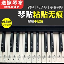 Piano Spectrum Artist Sticker 88 keyboard sticker press keyboard 61 keyboard sticker 54 key