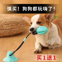 Dogs toys resistant to grinders pet antithets Puppies Puppies Small Dogs Themselves Playing Suckers Leaking Balls