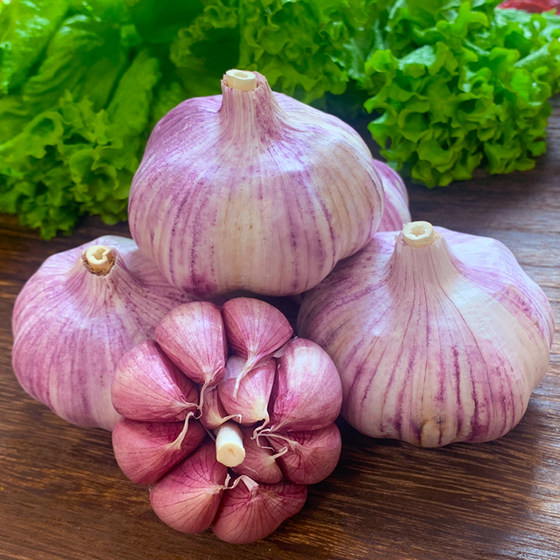 Guowangyuan Shandong Jinxiang Garlic Dried Garlic 5Jin [Jin is equal to 0.5kg] Packed with purple skin 2Jin [Jin is equal to 0.5kg] Fresh multi-petal farmhouse 2023 seeds 10Jin [Jin is equal to 0.5kg]