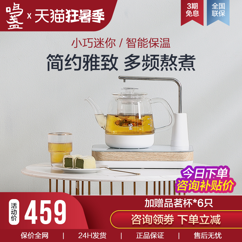 Beaming Boiled Tea Instrumental Home Multifunction Fully Automatic Upper Kettle Flowers Teapot Office Small Wellness Quick Cooking Pot