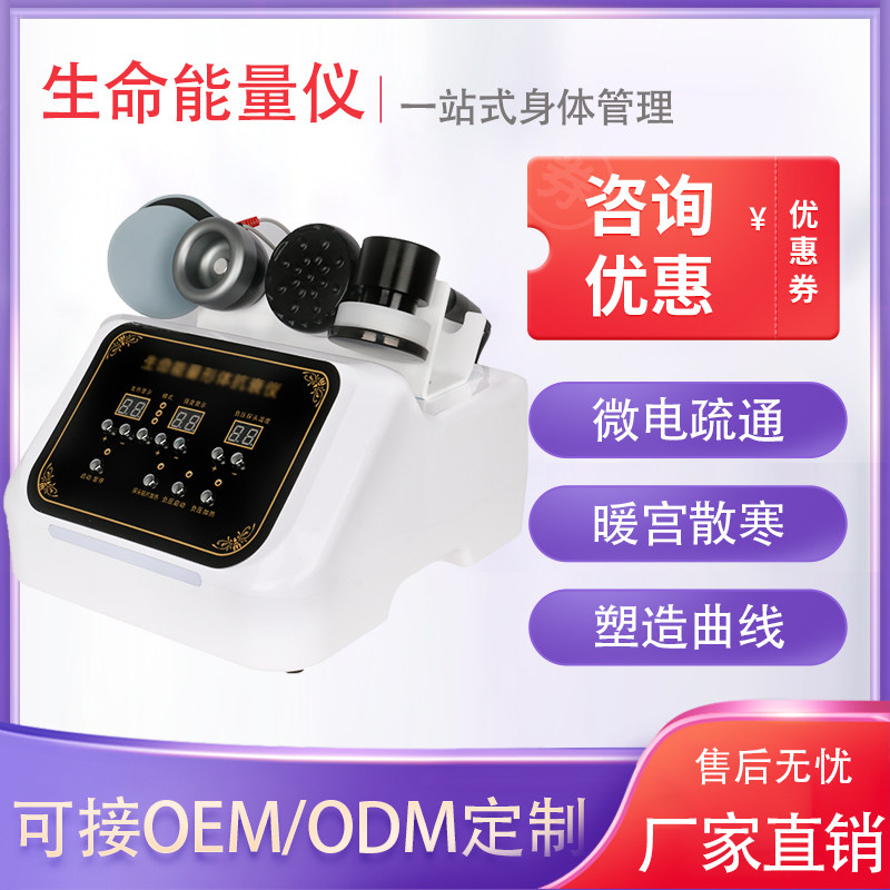 Life energy body four seasons health instrument scraping physiotherapy meridian bioelectric dredging vibration pulse body fever