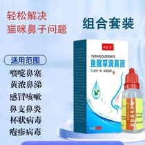 Cat yellow rhinorrhea rhinitis caliciform virus infection respiratory tract nasal branch cold cough concanadin nasal drops