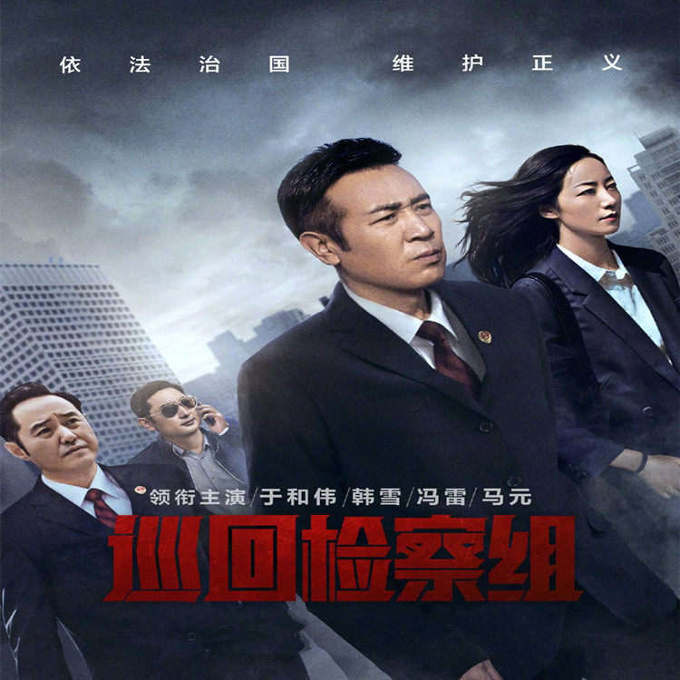 High Definition Large Anti-corruption TV Series CD Tour Inspection Team DVD Disc 8 Discs and Weihan Snow