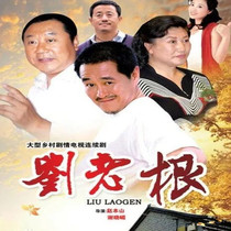 Country comedy TV series CD - ROM Liu Laogan DVD Disc Part 1 Car - board Zhao Benshan Van Wei