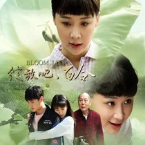 Era emotional television series CD - ROM Bloom Lily DVD disc disc Yao Qianyu Zhu Xiaofish