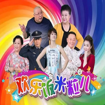 Comedy Small Disc Disc Disc Wang Zhenhua Li Jing - hua Li - hua