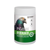 Hannover ginseng electrolyte pigeon medicine multi-dimensional speed-strengthening electrolyte energy conditioning pigeon anti-stress electrolyte