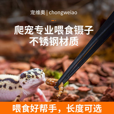 Climbing pet feeding tweezers, horn frog, lizard, spider, insect, cricket, mealworm feeding clip, stainless steel feces cleaning clip