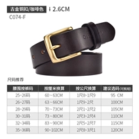 C074-F Древнее золото и бронзовая пряжка коричневая