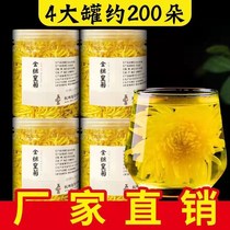 Golden Silk with one glass of large chamomile tea yellow chrysanthemum filling chrysanthemum Medlar Semen Cassiae Tea Combined Flower Tea