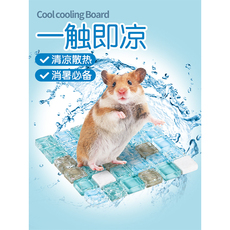 Излучающие панели 龙猫降温用品冰窝笼子冰垫冰盒刺猬毛丝鼠小仓鼠夏季夏天消暑用品