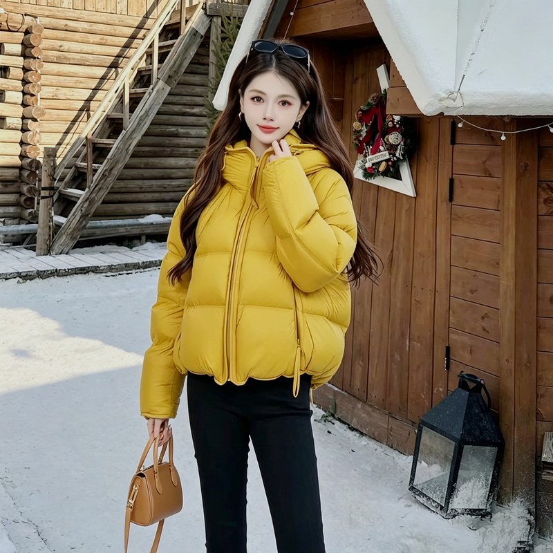 2026 Winter New Hooded Short Puff down Jacket for Women, Autumn and Winter Thickened Warm Stylish White Duck down Coat
