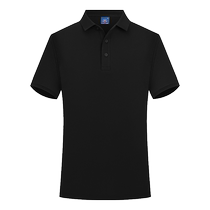 Summer POLO shirt work clothes custom T-shirt short-sleeved corporate work clothes custom embroidered printed logo advertising cultural shirt