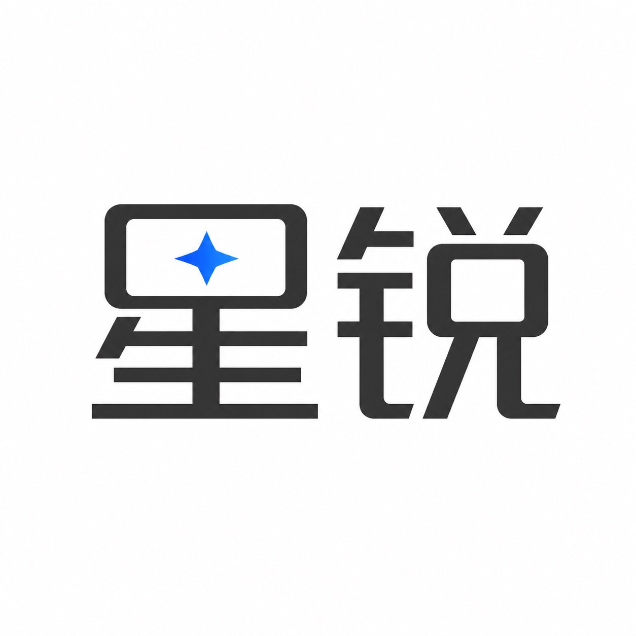 星锐显示器店