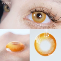 [Ежедневный тип броска] DGU Протекает золотой коричневый коричневый