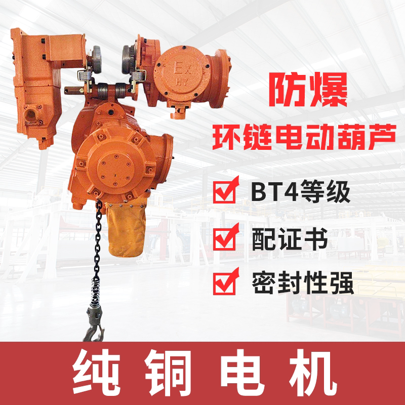 Customize special flapping explosion-proof ring chain electric hoist 0 5-1-2-3t tons of 5 ton hooks walk bt4
