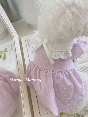 Одежда для собак весна и летняя юбка для домашних животных, а не медведя плюшевая бомей