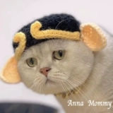 Свинья восемь колец